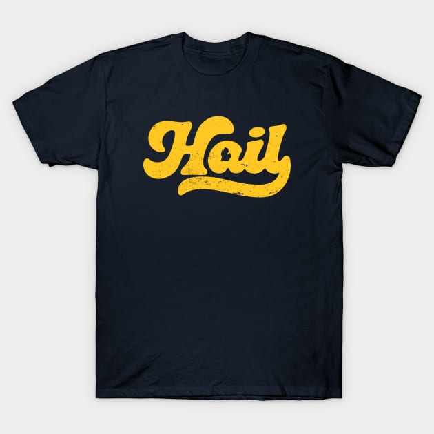 Retro Script Hail // Vintage Football Gameday in Michigan T-Shirt by SLAG_Creative